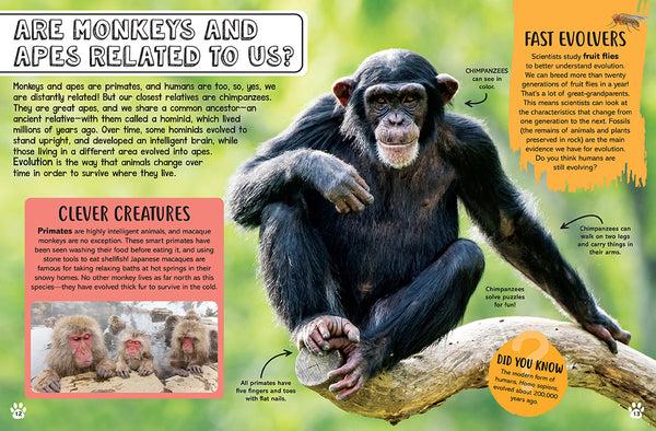 Insight Editions Big Questions For Little People: Animals – Insight Editions