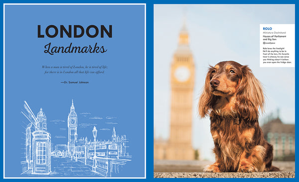 Insight Editions Canines Of London – Insight Editions