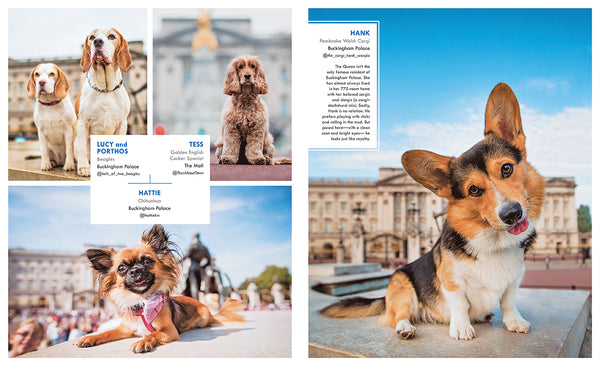 Insight Editions Canines Of London – Insight Editions