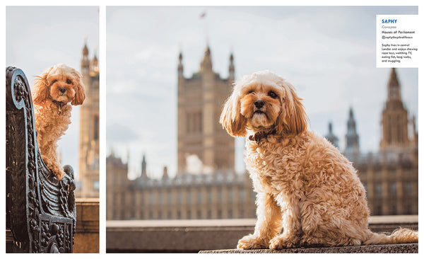 Insight Editions Canines Of London – Insight Editions