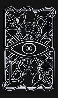 Insight Editions Christina Ricci's Cat Full Of Spiders Tarot Deck And Guidebook – Insight Editions