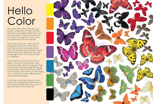 Insight Editions Colorful Creatures – Insight Editions
