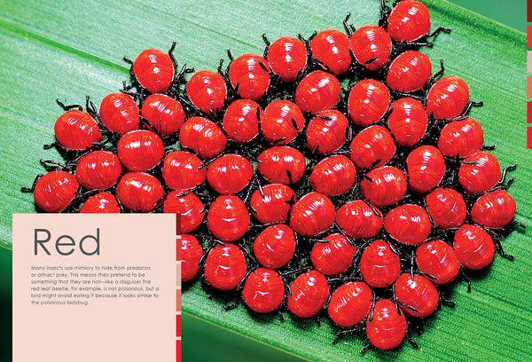 Insight Editions Colorful Creatures – Insight Editions