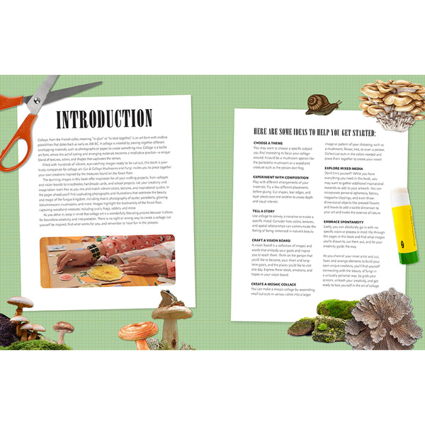 Insight Editions Cut And Collage Mushrooms And Fungi – Insight Editions