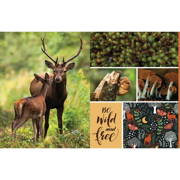 Insight Editions Cut And Collage Woodland Creatures – Insight Editions