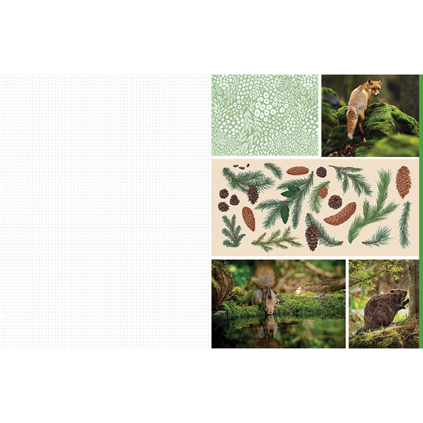 Insight Editions Cut And Collage Woodland Creatures – Insight Editions