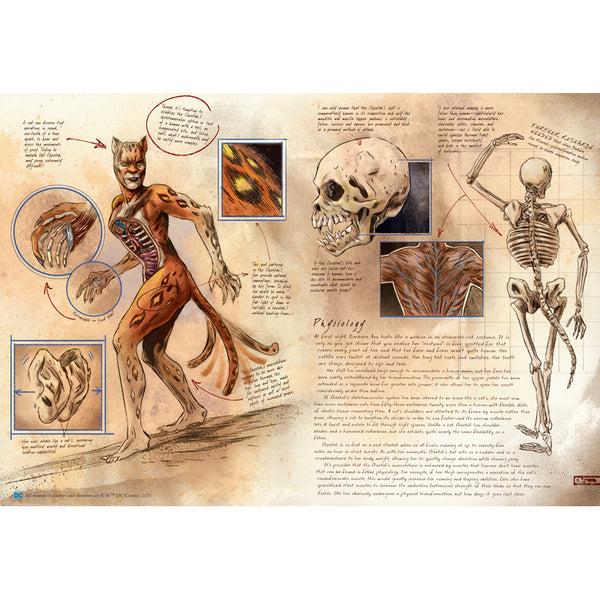 Insight Editions DC Comics: Anatomy Of A Metahuman – Insight Editions