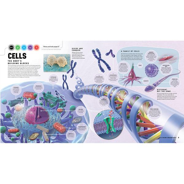 Insight Editions Discover: The Human Body [Ready Activated] – Insight Editions