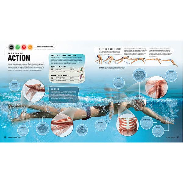 Insight Editions Discover: The Human Body [Ready Activated] – Insight Editions