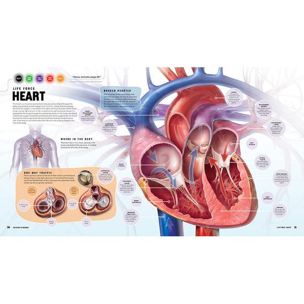 Insight Editions Discover: The Human Body [Ready Activated] – Insight Editions