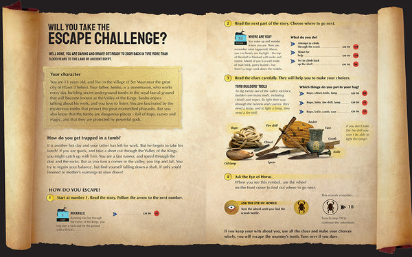 Insight Editions Escape The Mummy's Tomb – Insight Editions