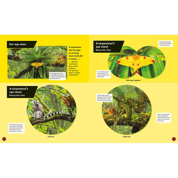 Insight Editions Eye View: Jungle Animals – Insight Editions