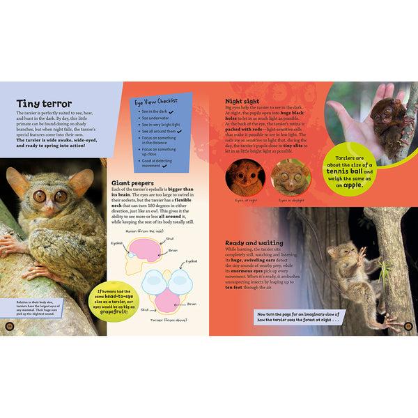 Insight Editions Eye View: Jungle Animals – Insight Editions