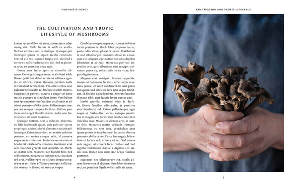 Insight Editions Fantastic Fungi Community Cookbook – Insight Editions