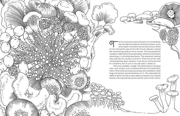 Insight Editions Fantastic Fungi: The Coloring Book – Insight Editions