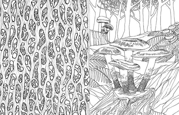 Insight Editions Fantastic Fungi: The Coloring Book – Insight Editions