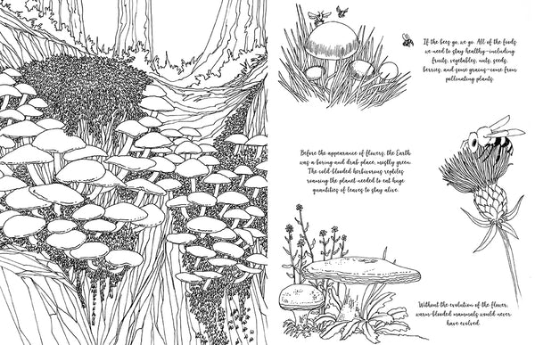Insight Editions Fantastic Fungi: The Coloring Book – Insight Editions