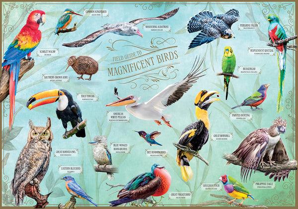 Insight Editions Field Guide To Magnificent Birds – Insight Editions