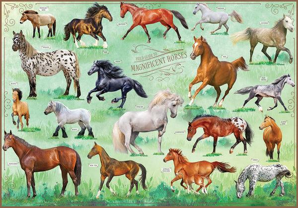 Insight Editions Field Guide To Magnificent Horses – Insight Editions