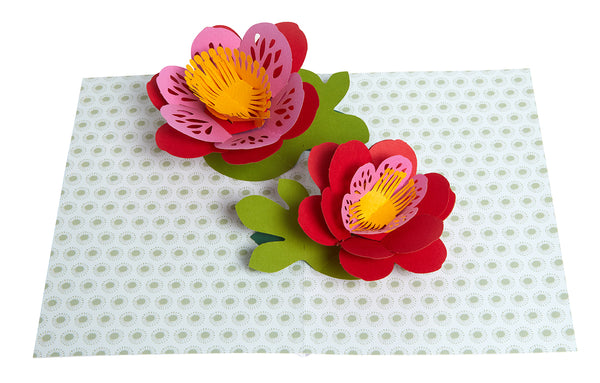 Insight Editions Floral Signature Pop-Up Card [Birthday] – Insight Editions