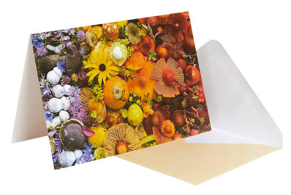 Insight Editions Flowers And Fungi Boxed Note Cards – Insight Editions