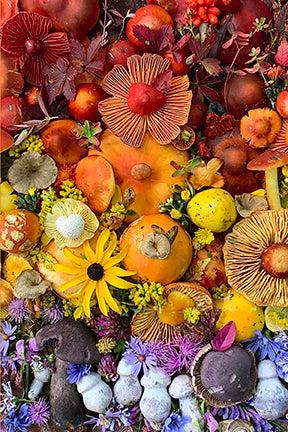 Insight Editions Flowers And Fungi Boxed Note Cards – Insight Editions