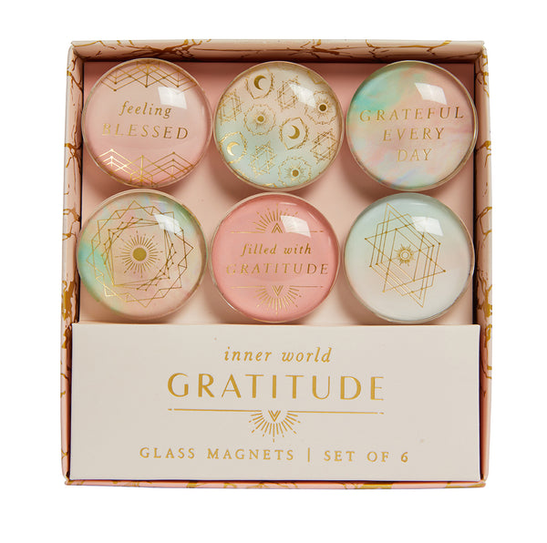 insight editions Gratitude Glass Magnet Set (Set of 6) – Insight Editions
