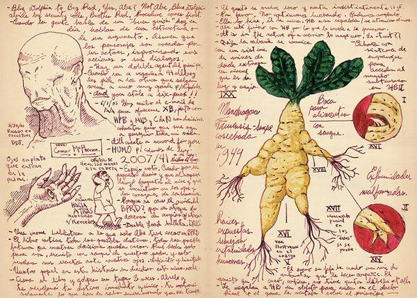 Insight Editions Guillermo Del Toro Hardcover Blank Sketchbook – Insight Editions