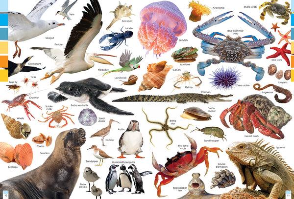 Insight Editions Habitats And The Animals Who Live In Them – Insight Editions