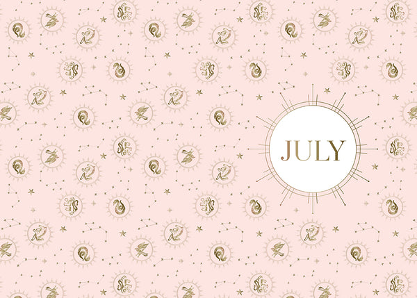 Insight Editions Harry Potter 2020-2021 Weekly Planner – Insight Editions