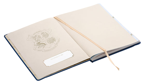 Insight Editions Harry Potter 2022-2023 Academic Year Planner – Insight Editions