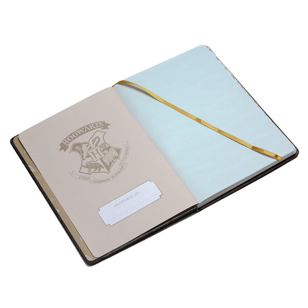 Insight Editions Harry Potter 2023-2024 Academic Year Planner – Insight Editions