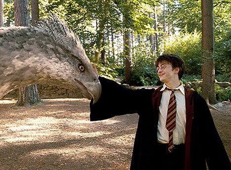 Insight Editions Harry Potter And The Prisoner Of Azkaban Enchanted Postcard Book – Insight Editions