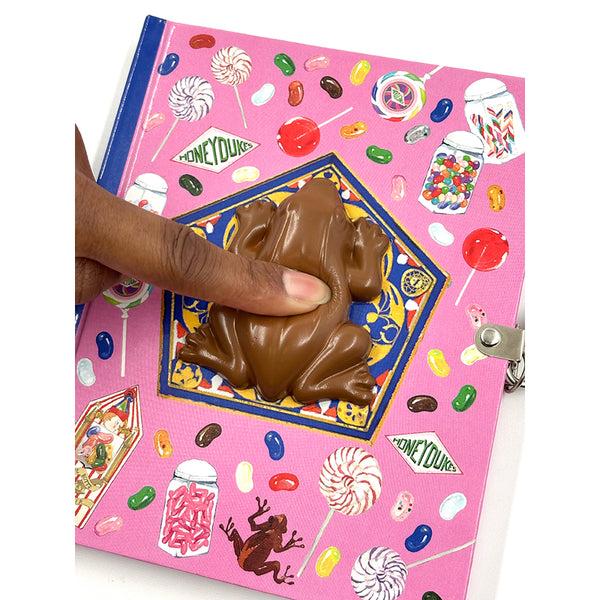 Insight Editions Harry Potter: Chocolate Frog Squishy Lock & Key Diary – Insight Editions