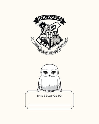 Insight Editions Harry Potter: Hedwig Squishy Lock & Key Diary – Insight Editions