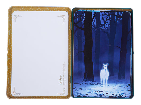 Insight Editions Harry Potter: Hogwarts Concept Art Postcard Tin Set – Insight Editions