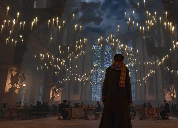 Insight Editions Harry Potter: Hogwarts Legacy Journal – Insight Editions