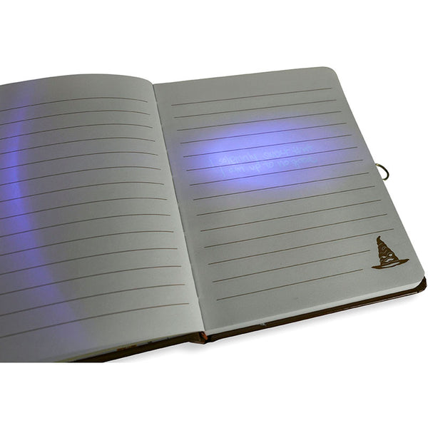 Insight Editions Harry Potter: Hogwarts Lock & Key Diary – Insight Editions