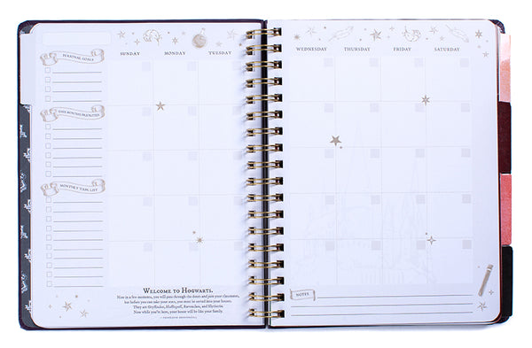 Insight Editions Harry Potter: Hogwarts Teacher's 12-Month Undated Planner – Insight Editions
