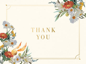 Insight Editions Harry Potter: Magical World Thank You Boxed Cards (Set Of 30) – Insight Editions
