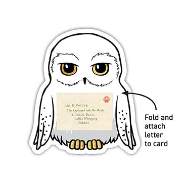 Insight Editions Harry Potter: Owl Post Super Valentines – Insight Editions