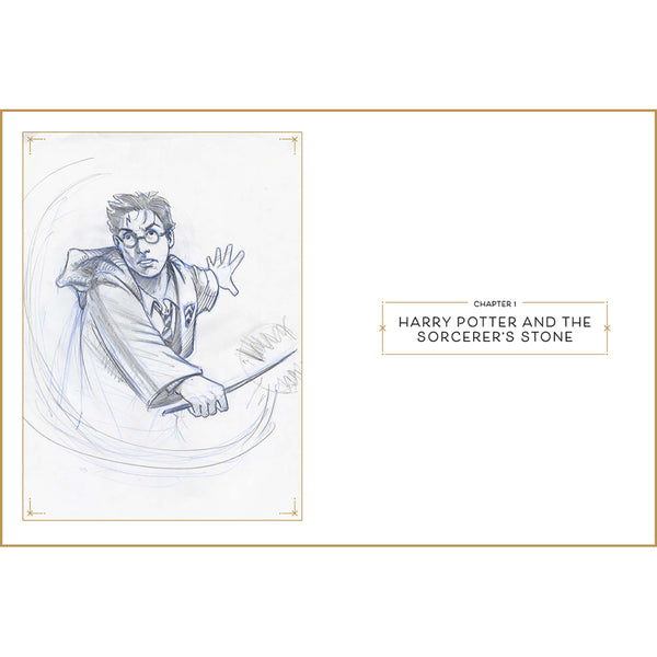 Insight Editions Harry Potter: The Storyboards – Insight Editions