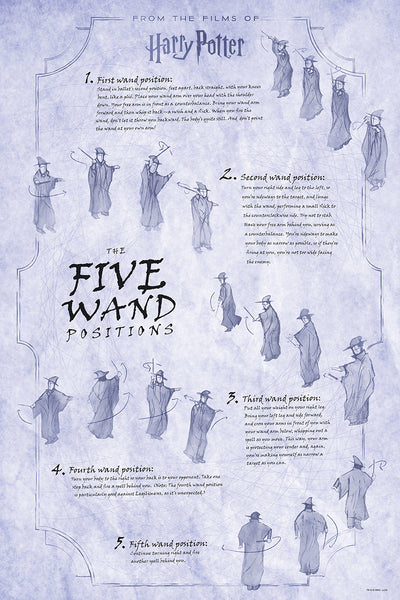 Insight Editions Harry Potter: The Wand Collection – Insight Editions
