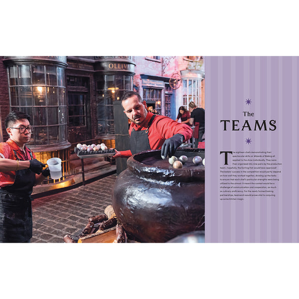 Insight Editions Harry Potter Wizards Of Baking: The Official Companion Guide – Insight Editions