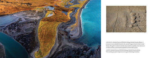 Insight Editions Ian Shive: Kodiak Refuge – Insight Editions