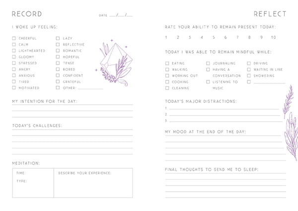 Insight Editions Inner World 365 Day Journaling Boxed Set – Insight Editions