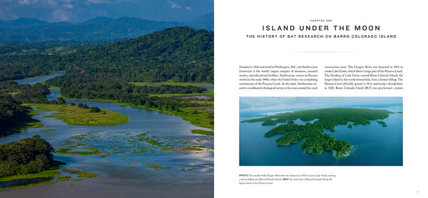 Insight Editions Bat Island – Insight Editions