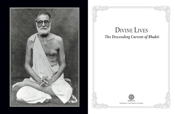 Insight Editions Divine Lives – Insight Editions