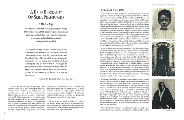 Insight Editions Divine Lives – Insight Editions