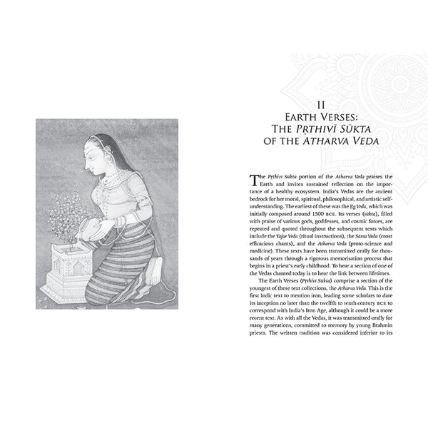 Insight Editions Embodied Ecology – Insight Editions